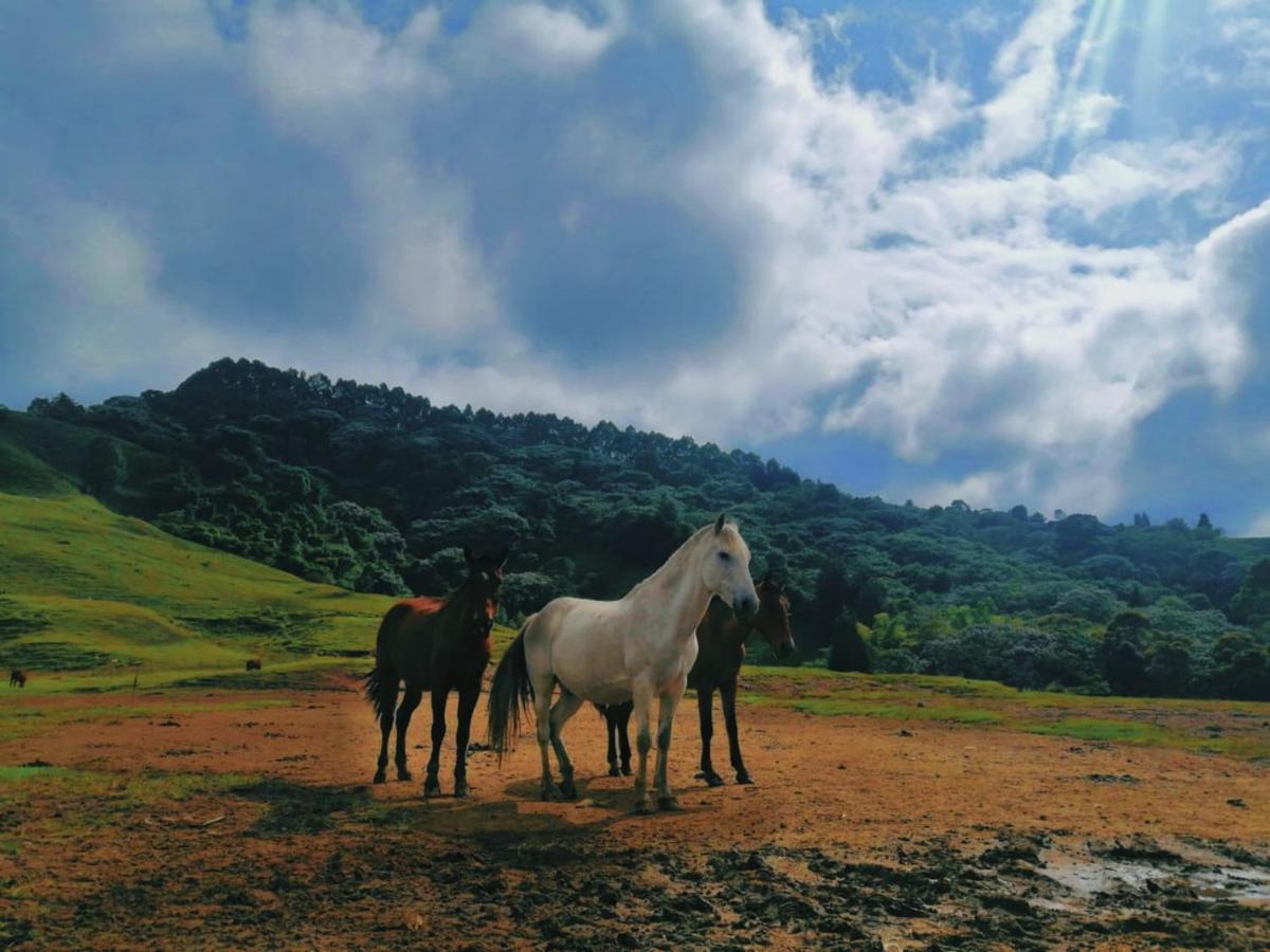 Finca Recreacional Marcelandia سانتا روزا دي كابال المظهر الخارجي الصورة